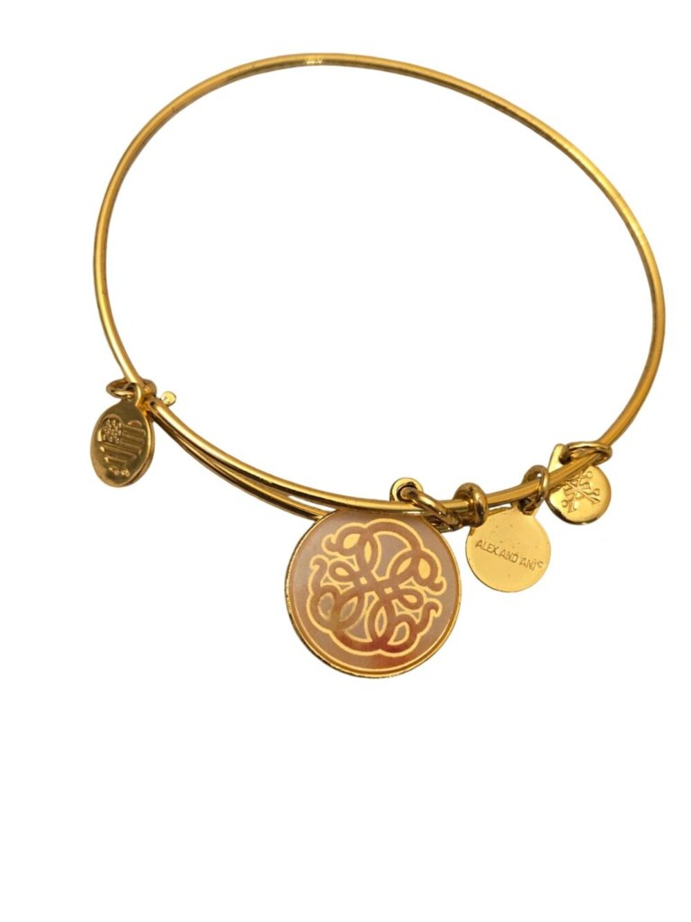 Alex And Ani Path of Life  Infused Color Charm Bracelet Bangle Knowledge Strengt